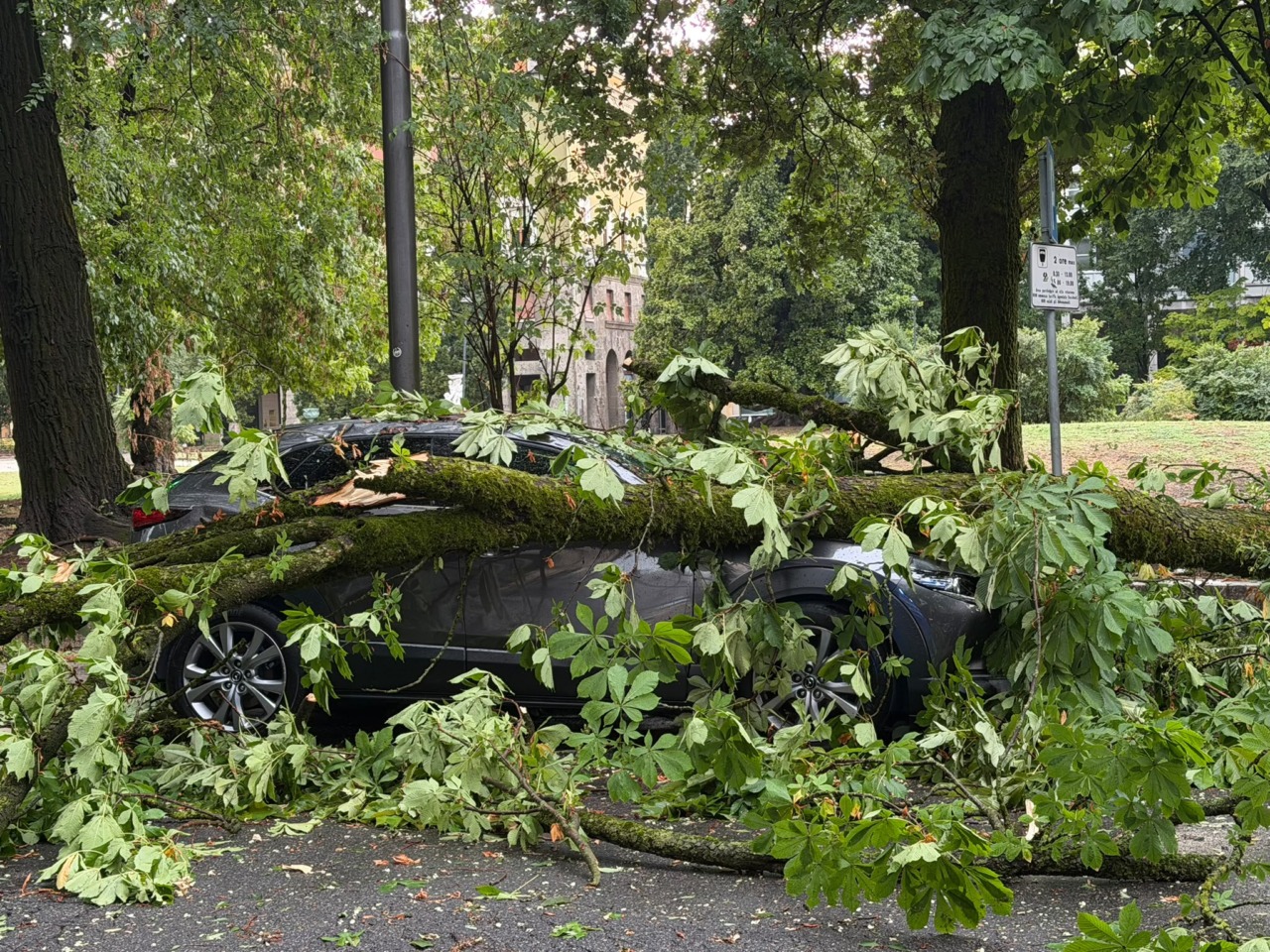Maltempo su Cremona, alberi caduti e tetti scoperchiati: 125 interventi dei Vvf in poche ore