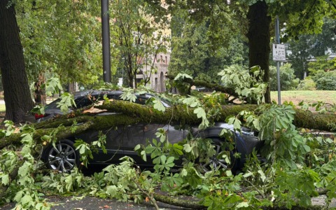 Maltempo su Cremona, alberi caduti e tetti scoperchiati: 125 interventi dei Vvf in poche ore