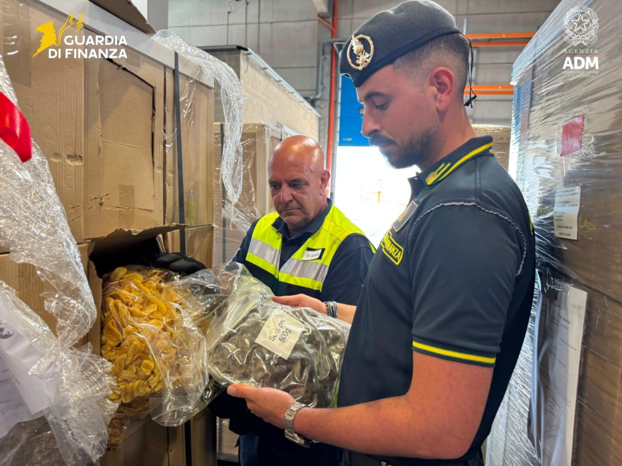 Marijuana nascosta in un container di frutta disidratata: maxi sequestro al Porto di Genova Prà