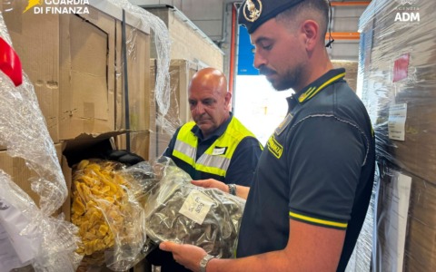 Marijuana nascosta in un container di frutta disidratata: maxi sequestro al Porto di Genova Prà
