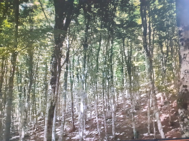 Monti Simbruini: natura, cultura e tradizioni