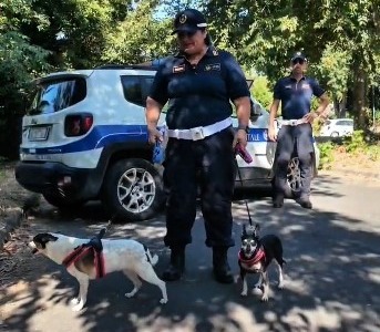 “Non abbandonare chi ti ama”, la campagna contro l’abbandono degli animali