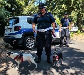 “Non abbandonare chi ti ama”, la campagna contro l’abbandono degli animali