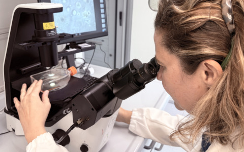 Nuova arma contro i tumori dal Bambino Gesù: cellule immunitarie geneticamente modificate