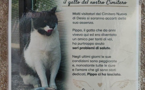 “Pippo ci ha lasciato, grazie per tutto l’affetto che ci hai donato”