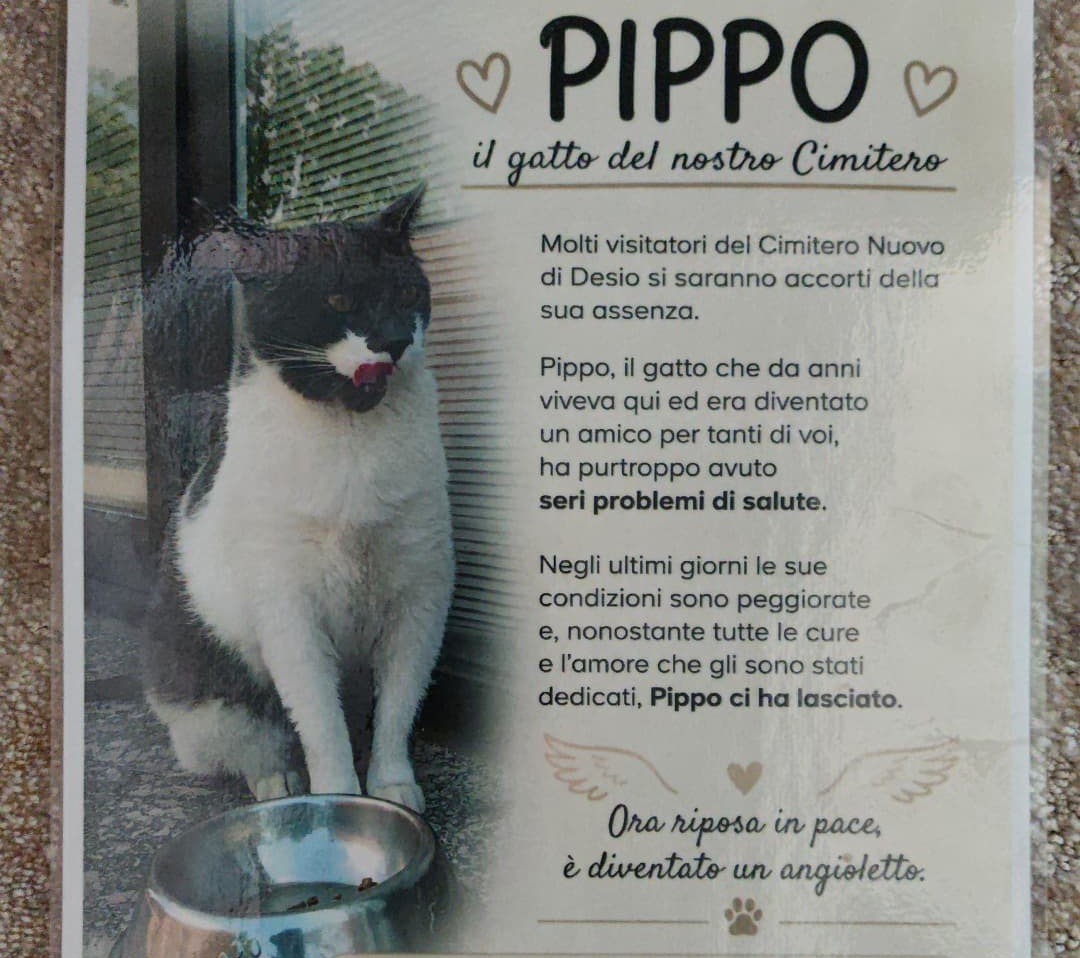 “Pippo ci ha lasciato, grazie per tutto l’affetto che ci hai donato”