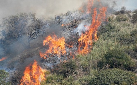 Prorogate le misure contro gli incendi boschivi