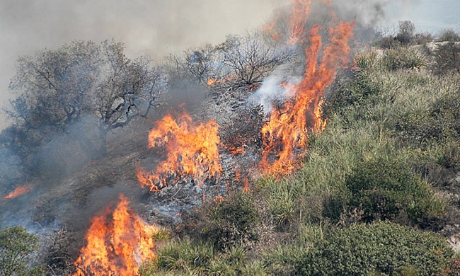 Prorogate le misure contro gli incendi boschivi