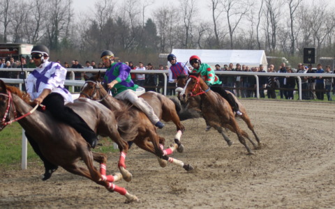 Rubata la staccionata del Palio: danno da oltre 40mila euro