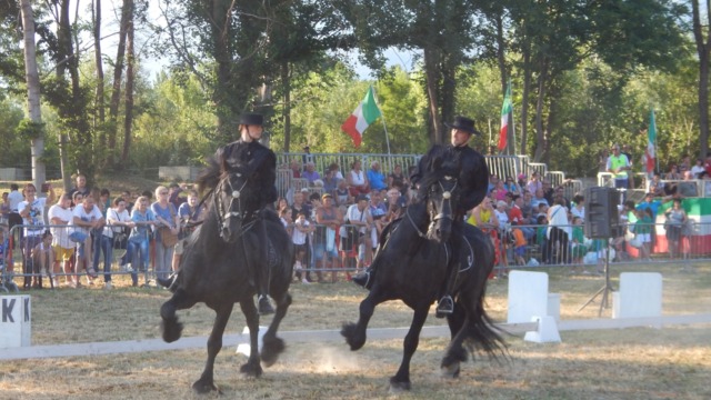 San Savino, a Ivrea al via la Patronale e la secolare Fiera equestre