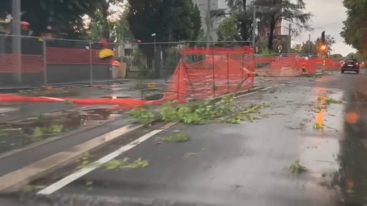 Maltempo, il bilancio a Bologna: oltre 300 alberi caduti. Via libera agli aventi ai Giardini Margherita e alle Caserme Rosse
