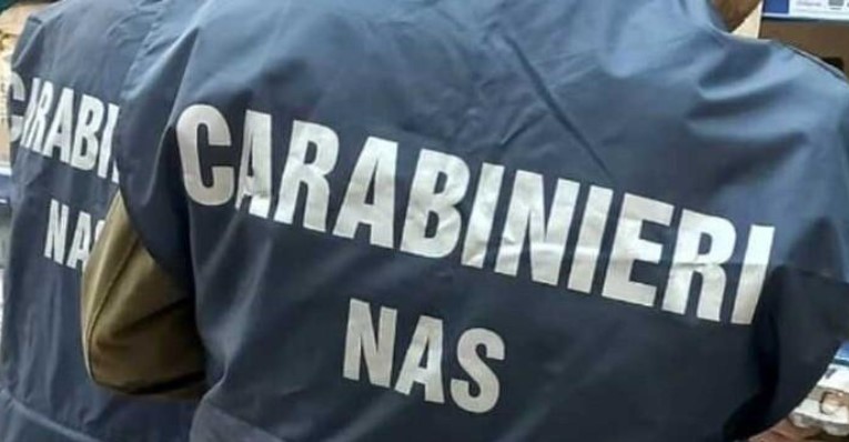 Sicurezza alimentare, sospese due attività commerciali: “Blatte e formiche”