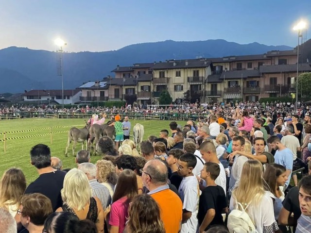 Songavazzo si prepara al Palio degli Asini: torna la festa con musica, sapori e fuochi d’artificio