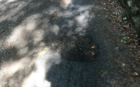 “Strade di montagna in pessime condizioni”