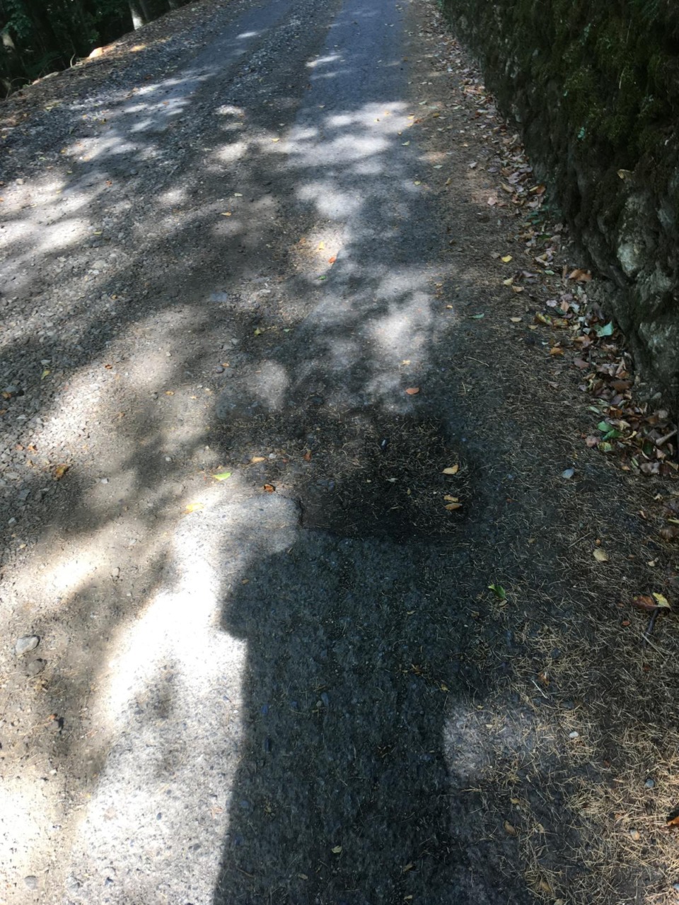 “Strade di montagna in pessime condizioni”