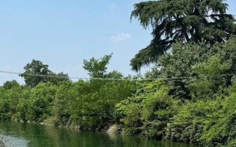 Tenta di salvare un animale e cade nel Villoresi