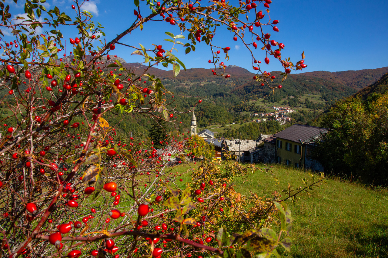 Tutti gli appuntamenti del weekend a Santo Stefano d’Aveto