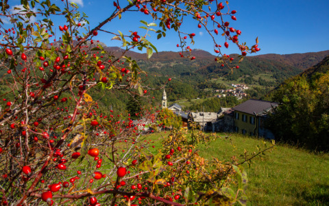 Tutti gli appuntamenti del weekend a Santo Stefano d’Aveto