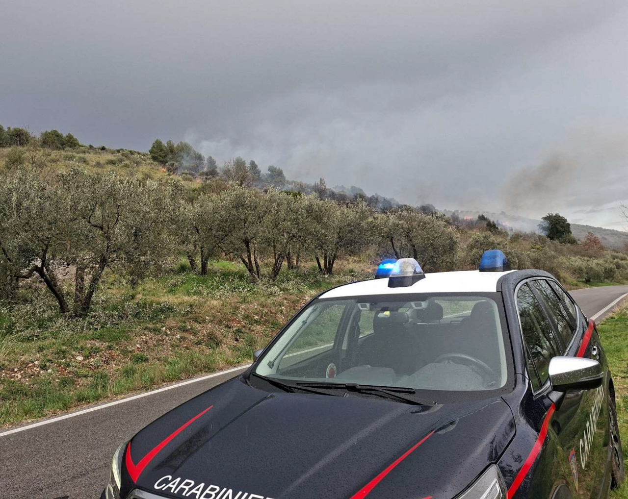 Vasto incendio sulle colline: dodici ore di inferno domate dai soccorritori