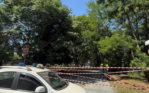 Vento forte abbatte albero all’Oasi della Speranza, transennata un’area del parco
