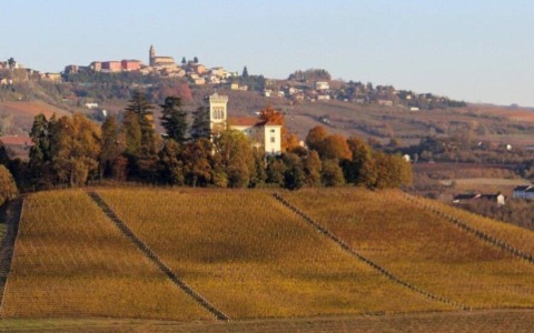 Vino piemontese, Regione e Commissione al lavoro contro la crisi: export in crescita e nuove misure per il comparto