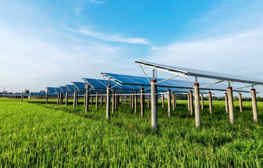 Agrivoltaico al quartiere Cristo, il comitato “Salviamo le Cascine” chiede alla Provincia un diniego