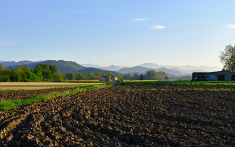 Agrivoltaico, il confronto sulla tutela dei terreni agricoli