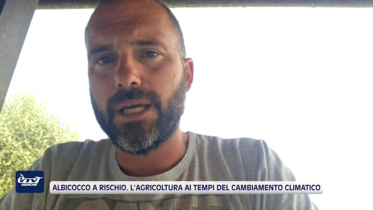 Albicocco a rischio. L’agricoltura ai tempi del cambiamento climatico – VIDEO