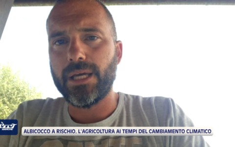Albicocco a rischio. L’agricoltura ai tempi del cambiamento climatico – VIDEO