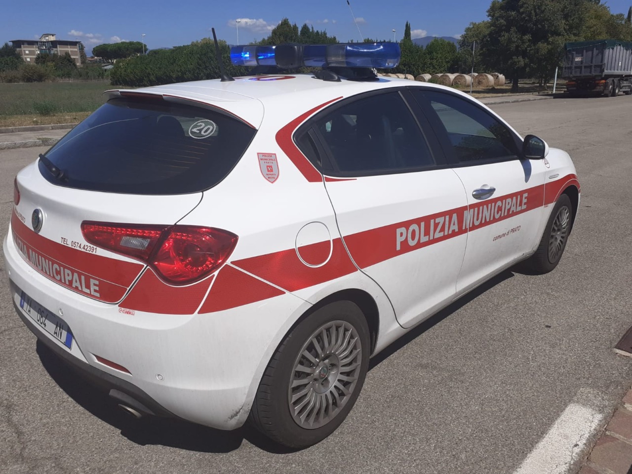 Cavalli tenuti senz’acqua, sequestrati in un blitz congiunto