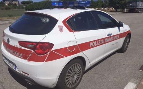 Cavalli tenuti senz’acqua, sequestrati in un blitz congiunto