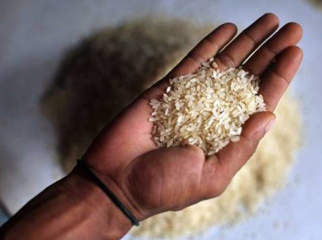 Coldiretti Novara-Vco: «Il crollo del prezzo del riso mette in ginocchio le aziende agricole»