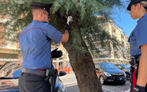 Ordigno esploso ad Ostia, due arresti dei Carabinieri. Sequestrata droga