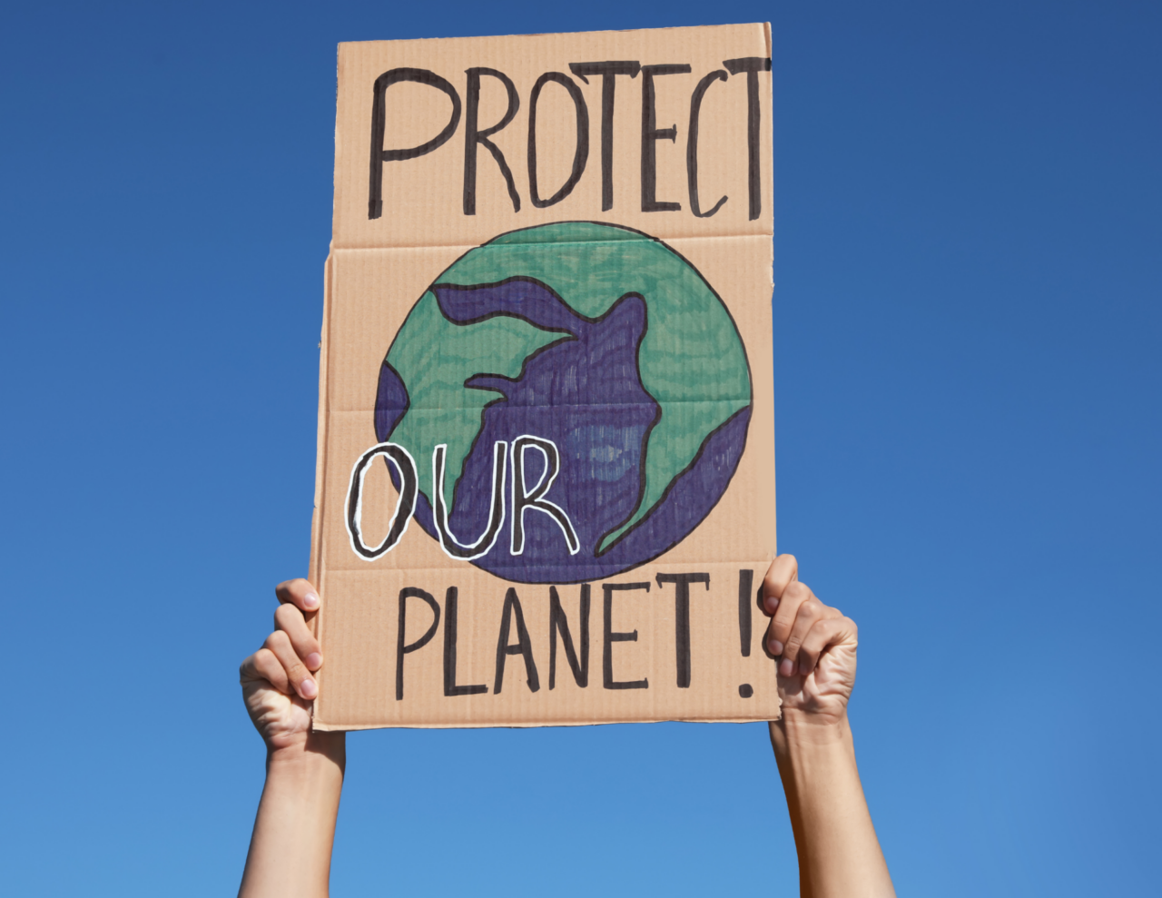 I vetturini pronti a trasformarsi in elettrico per il benessere animale