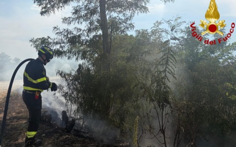 Incendio sterpaglie a Caresanablot, intervengono i Vigili del Fuoco