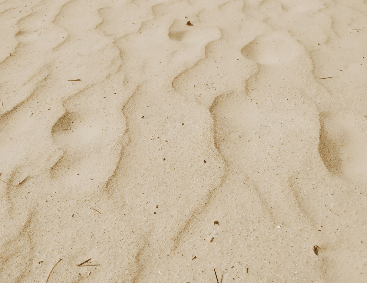 L’erosione arretra la costa del parco fino a 105 metri