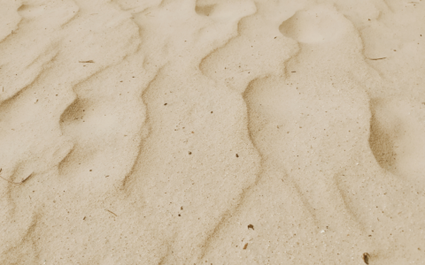 L’erosione arretra la costa del parco fino a 105 metri