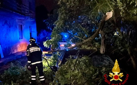 Maltempo, Fi-Pi-Li interrotta per caduta di alberi
