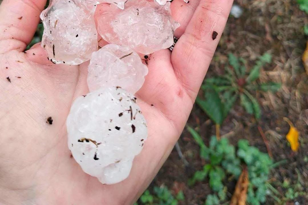 Maltempo in provincia: grossi chicchi di grandine a Piovera, Valenza e Sale