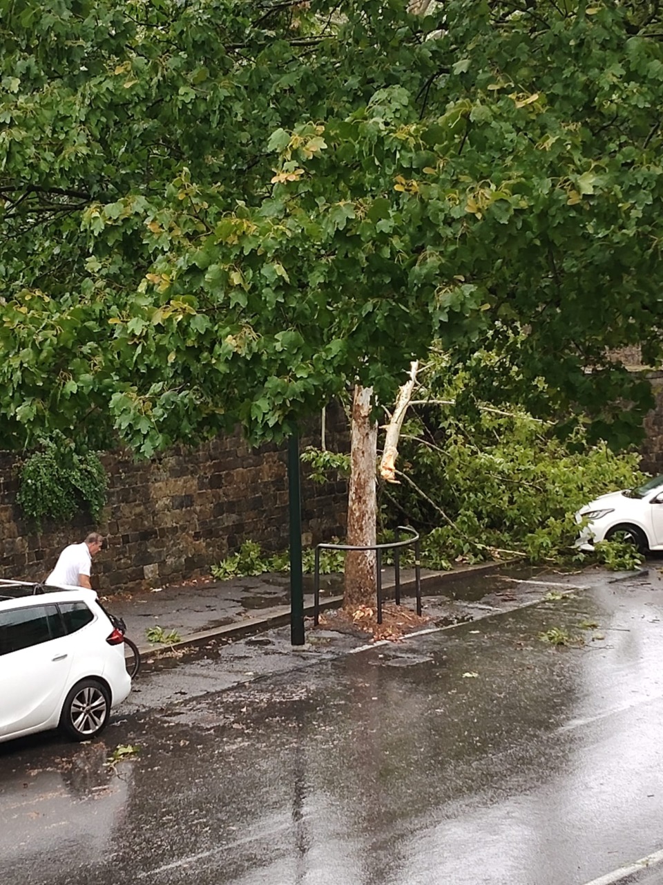 Seconda ondata, albero sui viali e tramvia in tilt. 140 mq di tetto divelto a Signa – LE IMMAGINI