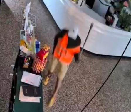 Nuovo furto al Bar Poeta, il sindaco: “Raccogliamo l’appello di Luca Targa. Ora lavoriamo insieme per rilanciare l’isola pedonale”