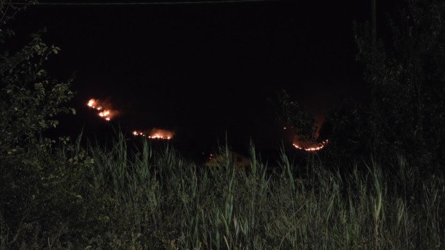 Incendio lungo la SP Casermette, scatta la chiusura precauzionale della strada