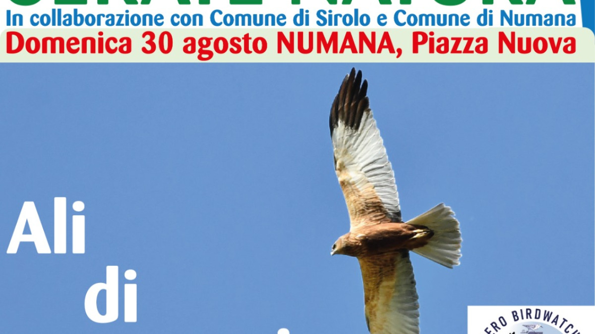 Parco Del Conero A Numana L ultimo Appuntamento Stagionale Con Le parco-del-conero-a-numana-l-ultimo-appuntamento-stagionale-con-le
