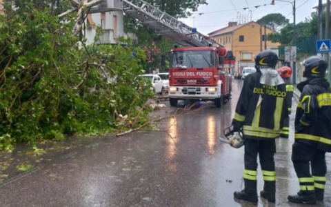 Pioggia e incendi, oltre 140 interventi dei vigili del fuoco a Roma e in provincia