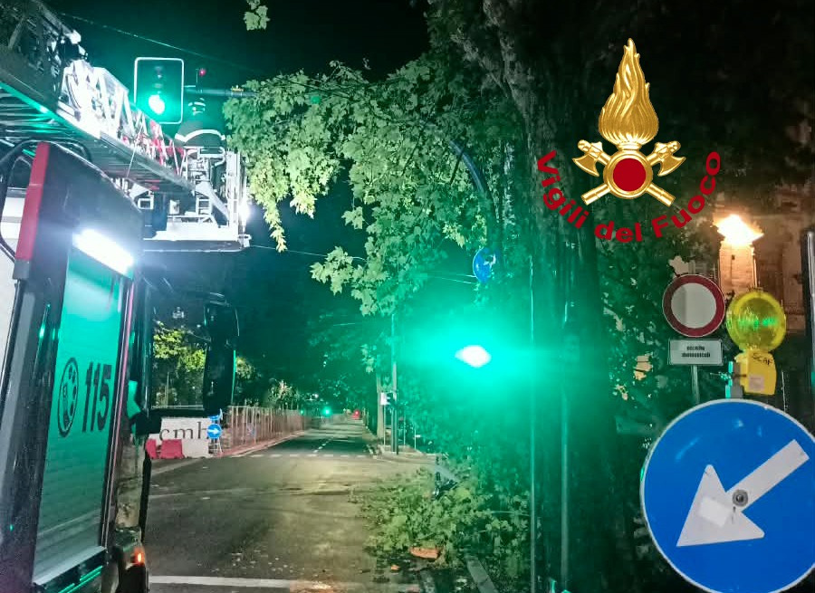 Pioggia e vento, rami sui cavi della tramvia: servizio interrotto
