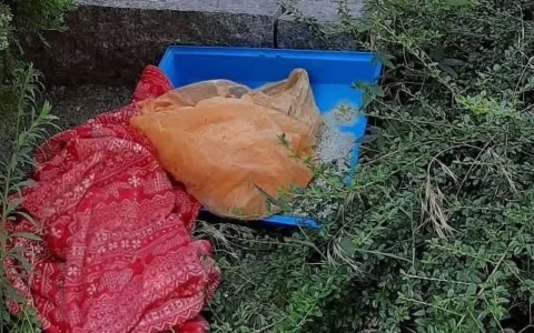 Rifiuti abbandonati in un’aiuola: due ragazze identificate e multate