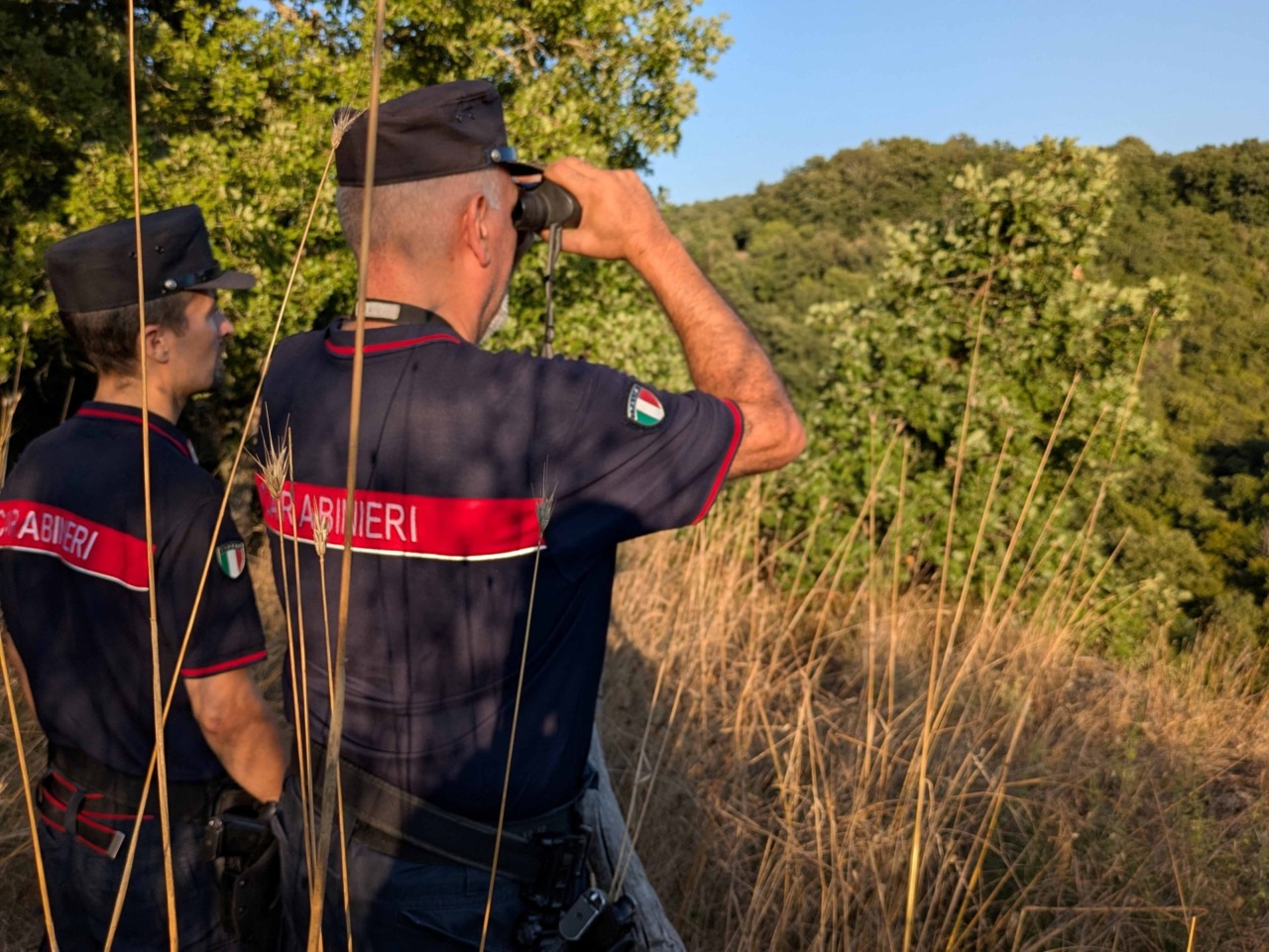 Ruba una capra ad una fattoria didattica e la abusa sessualmente per due volte