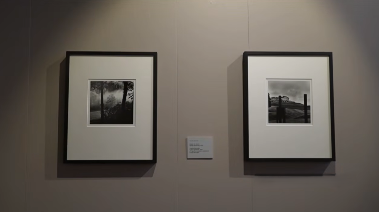 Alessandria, il valore della memoria attraverso la nebbia: mostra evento dedicata ad Eco