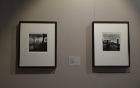 Alessandria, il valore della memoria attraverso la nebbia: mostra evento dedicata ad Eco