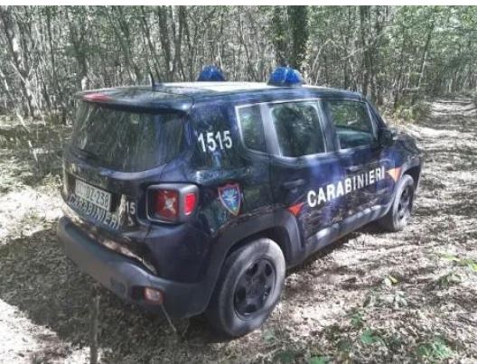 Discarica abusiva in un centro ippico, denunciato il titolare